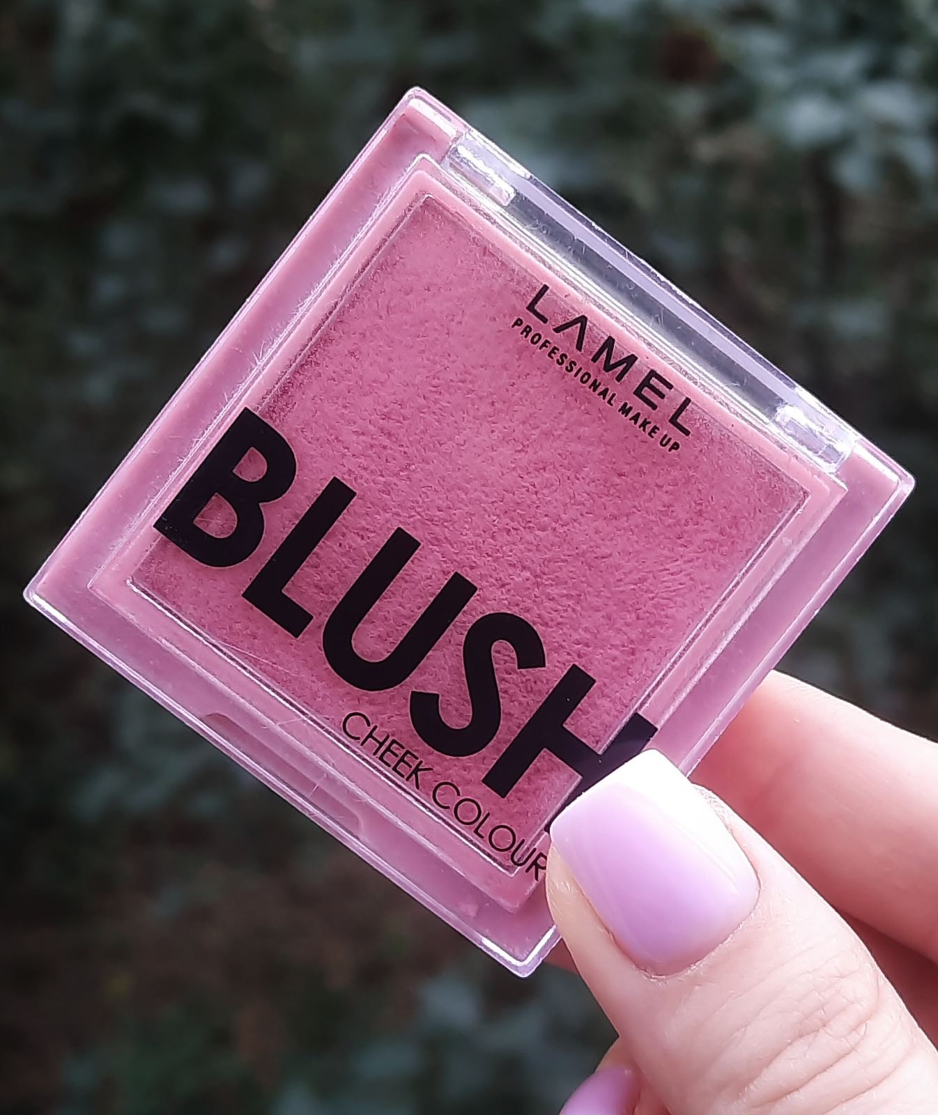 Більше плюсів чи мінусів? Давайте порахуємо разом - Lamel Professional blush cheek colour