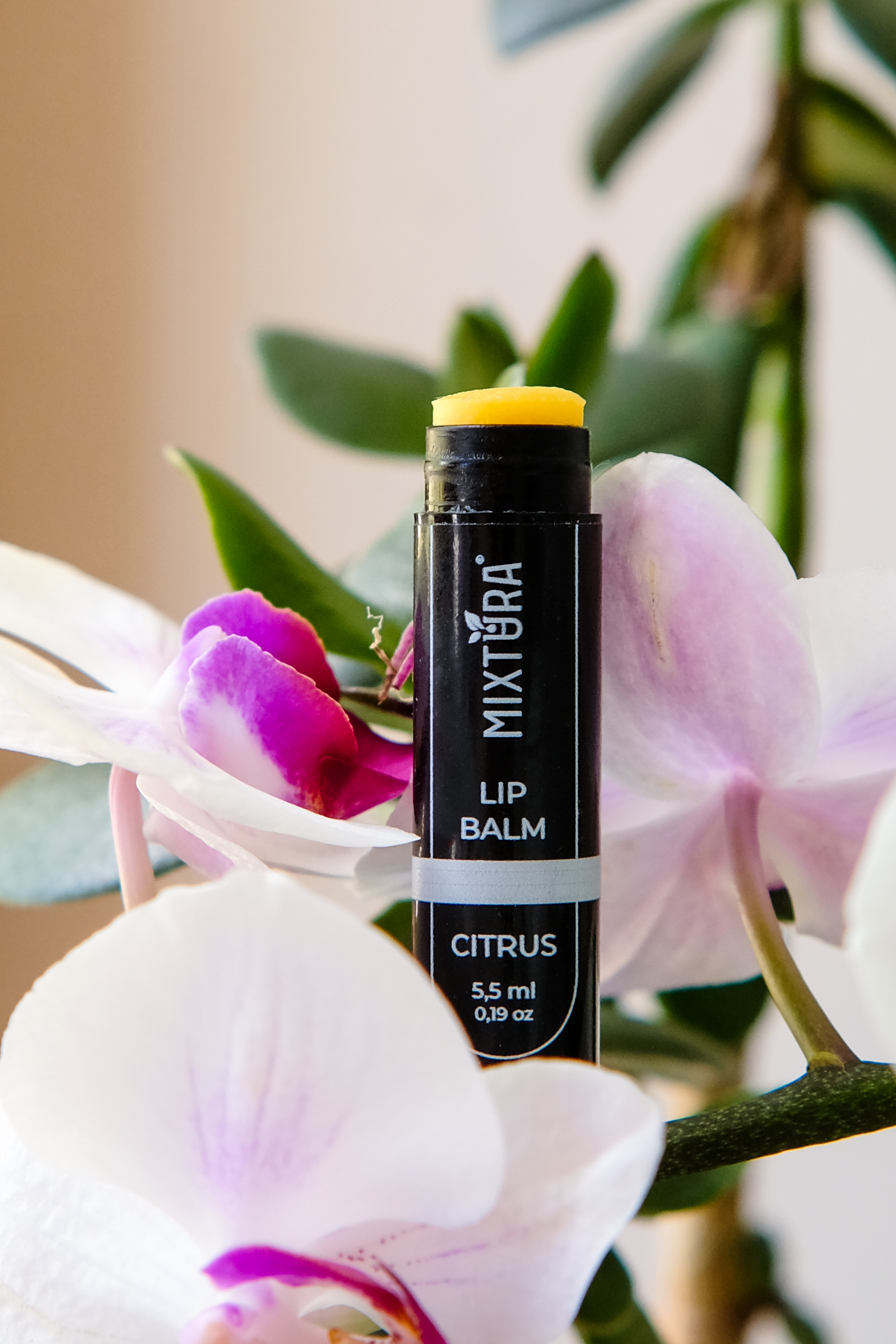 Ласощі для ваших губ : Mixtura Lip Balm Citrus