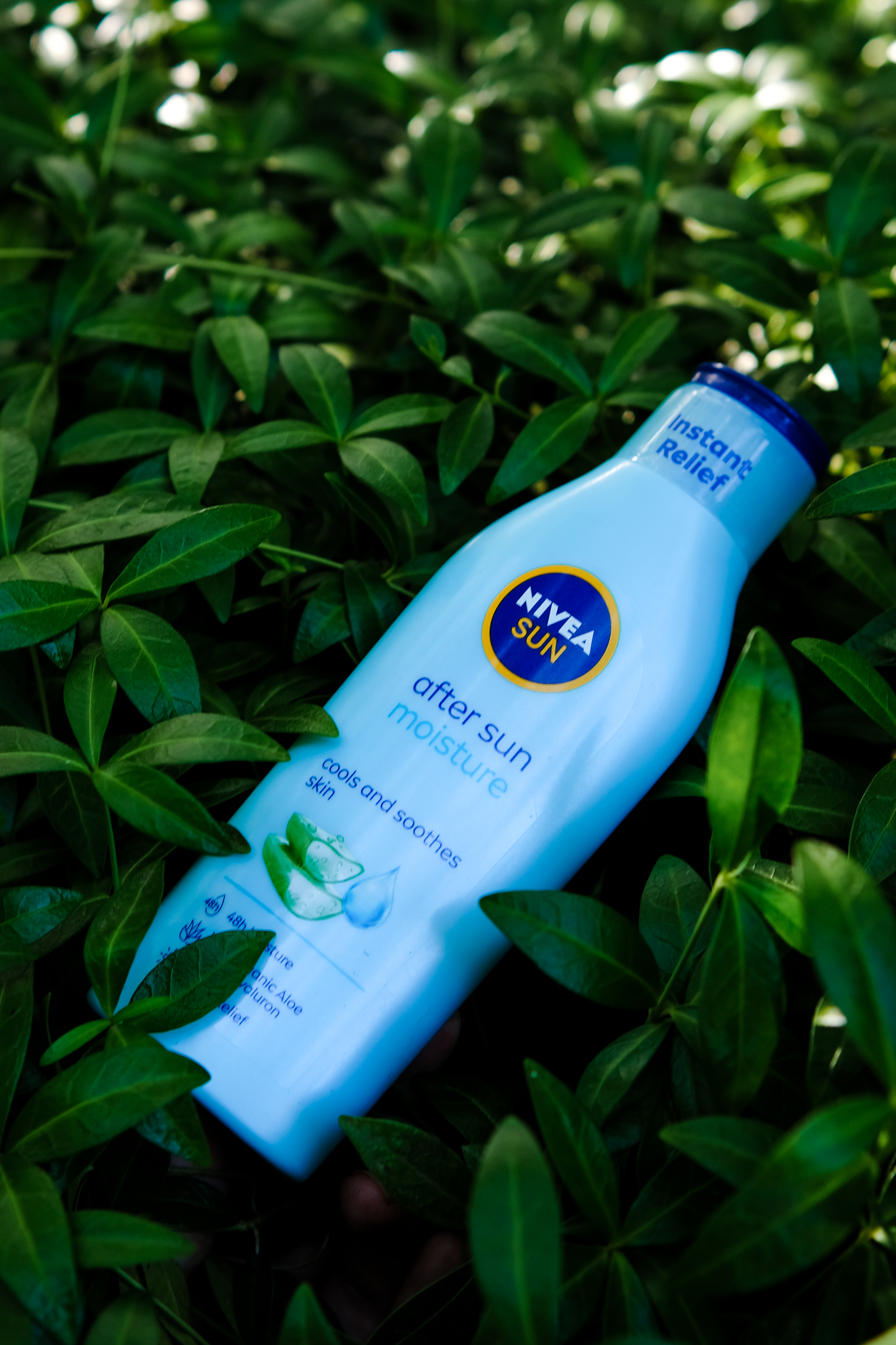 Як зробити перебування на огороді більш безпечним: Nivea SUN