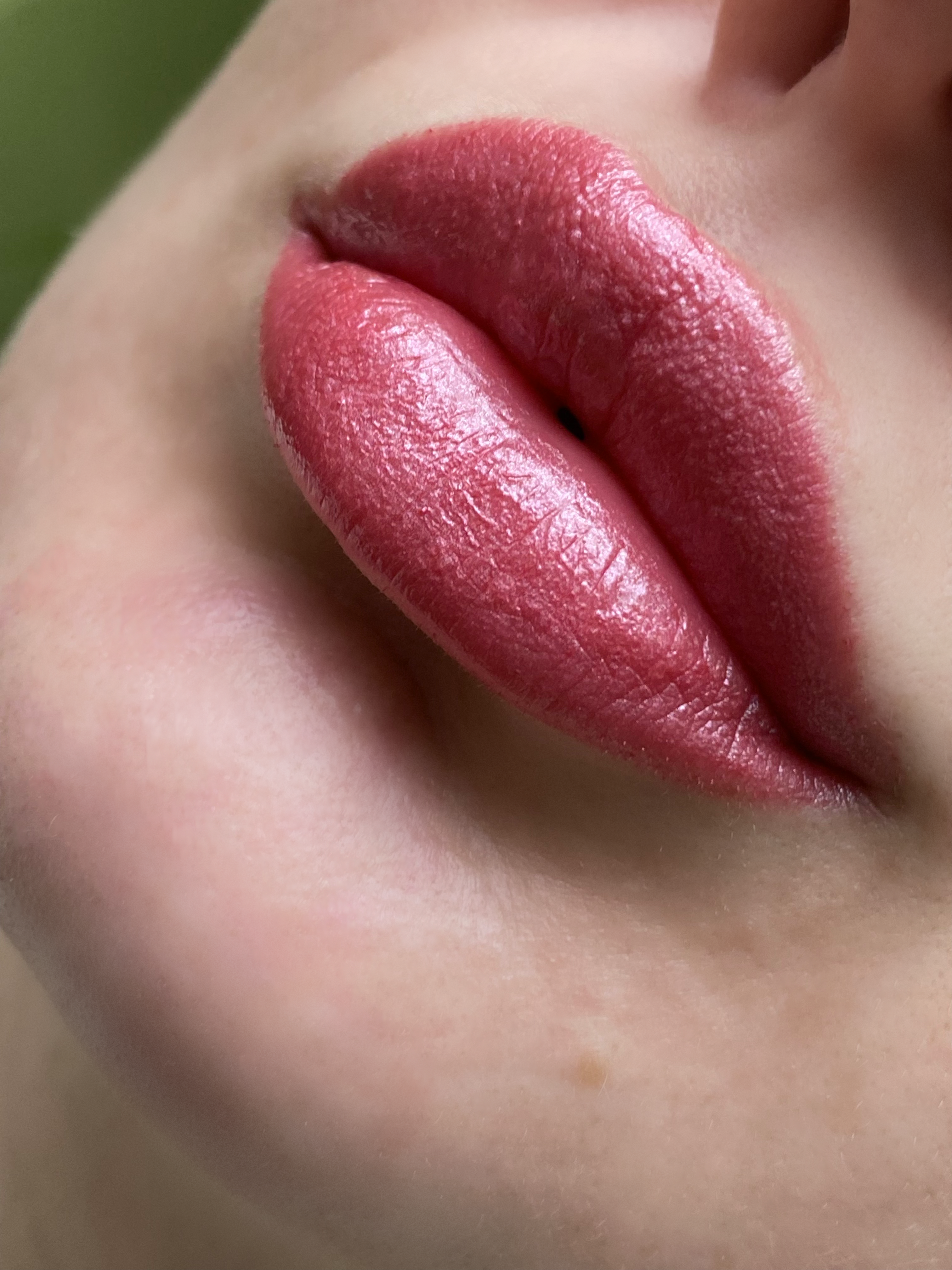 Max Factor Colour Elixir Moisture Lipstick у відтінку 105
