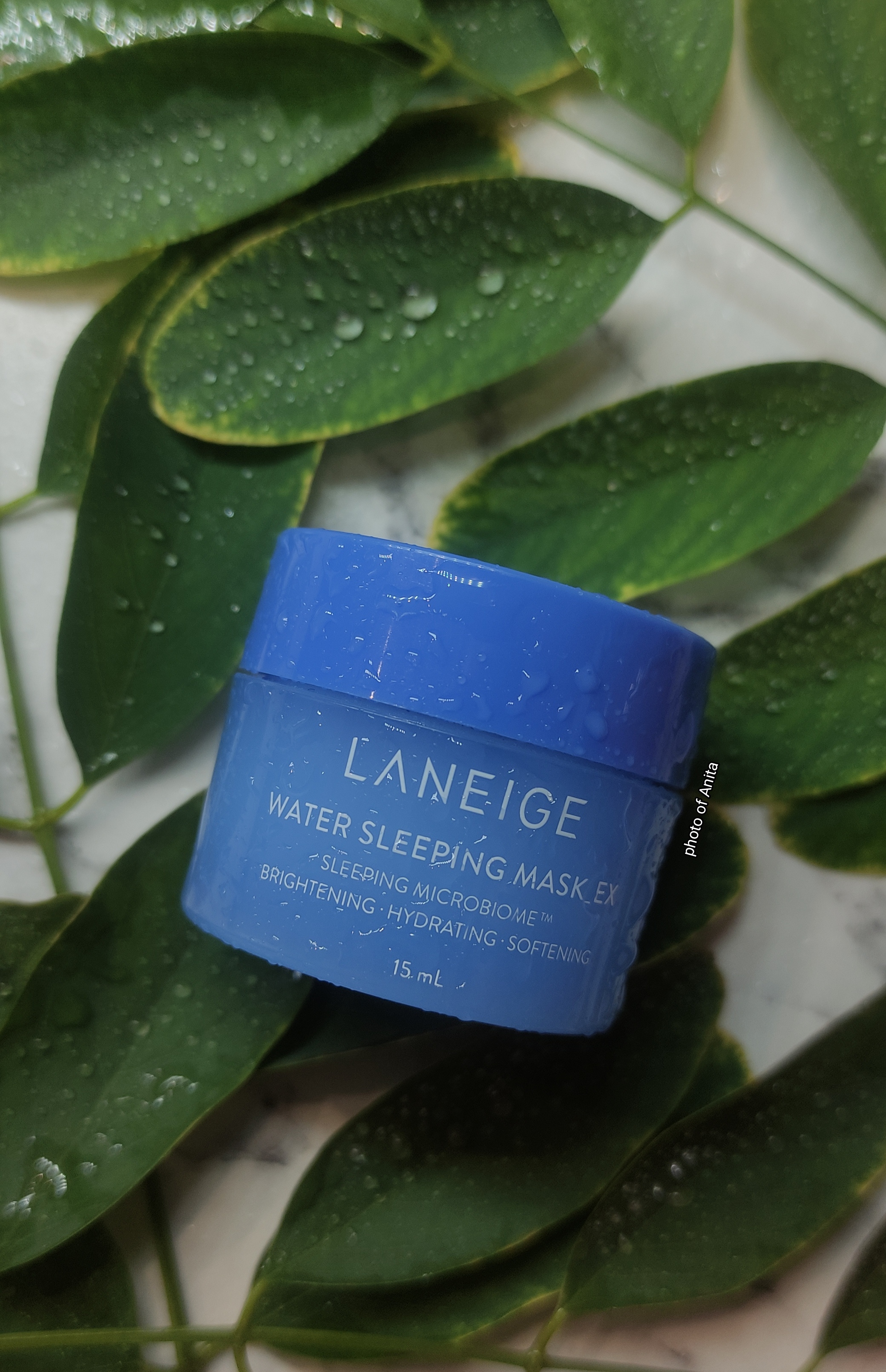 Laneige Water Sleeping Mask