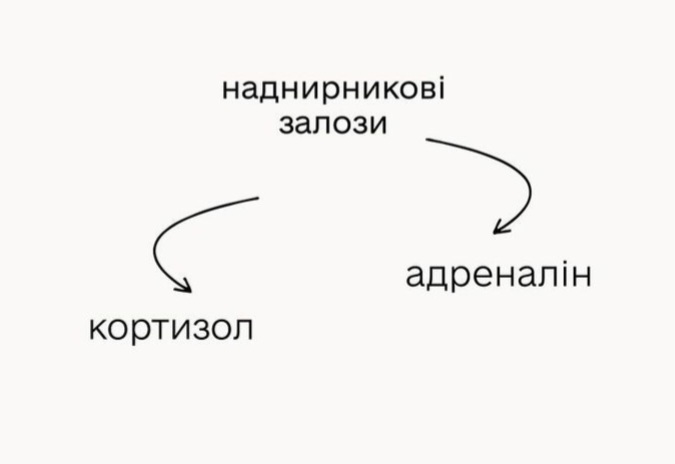 Стрес та його вплив на волосся