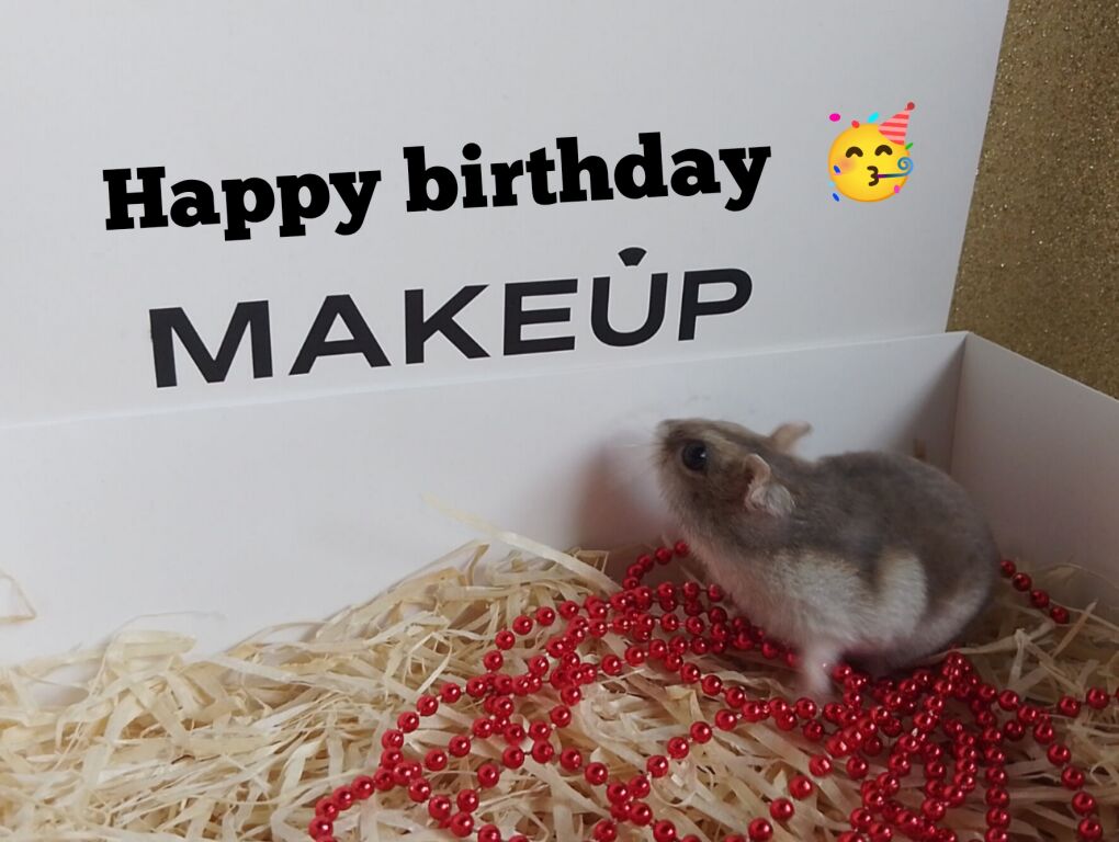 #happybirthdaymakeupclub