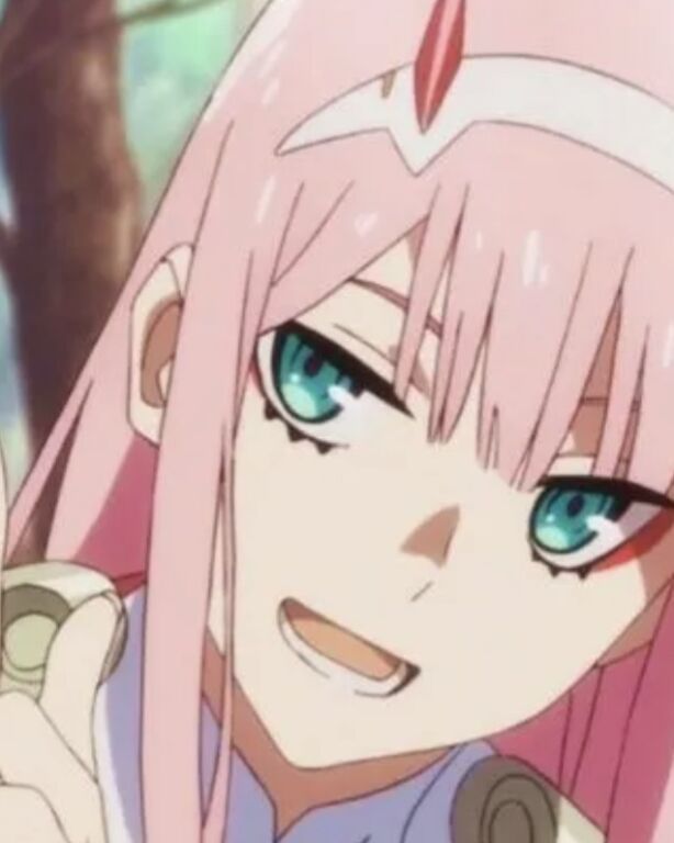 Zero Two Makeup 