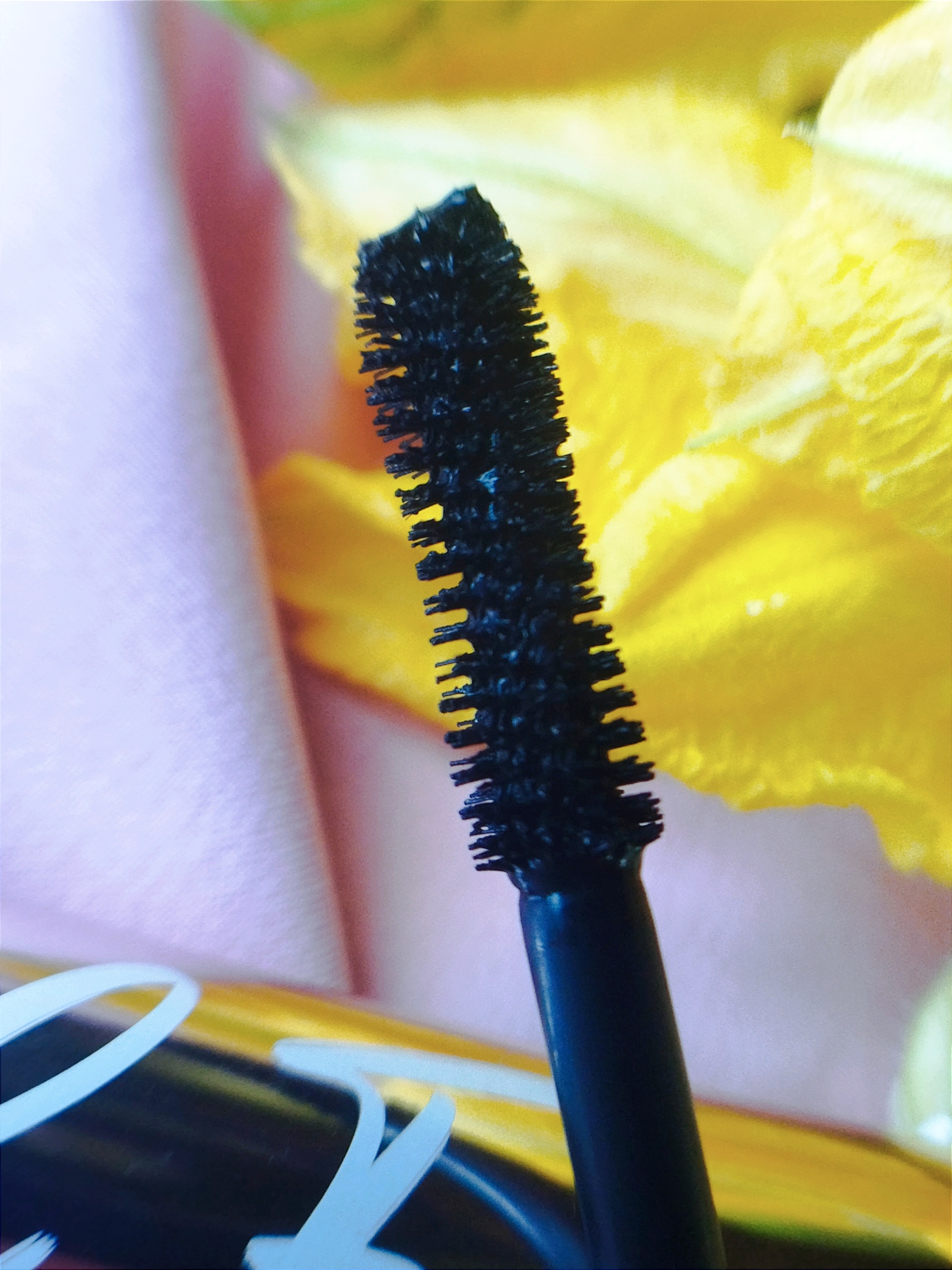 Pierre Rene Lash Fame Mascara