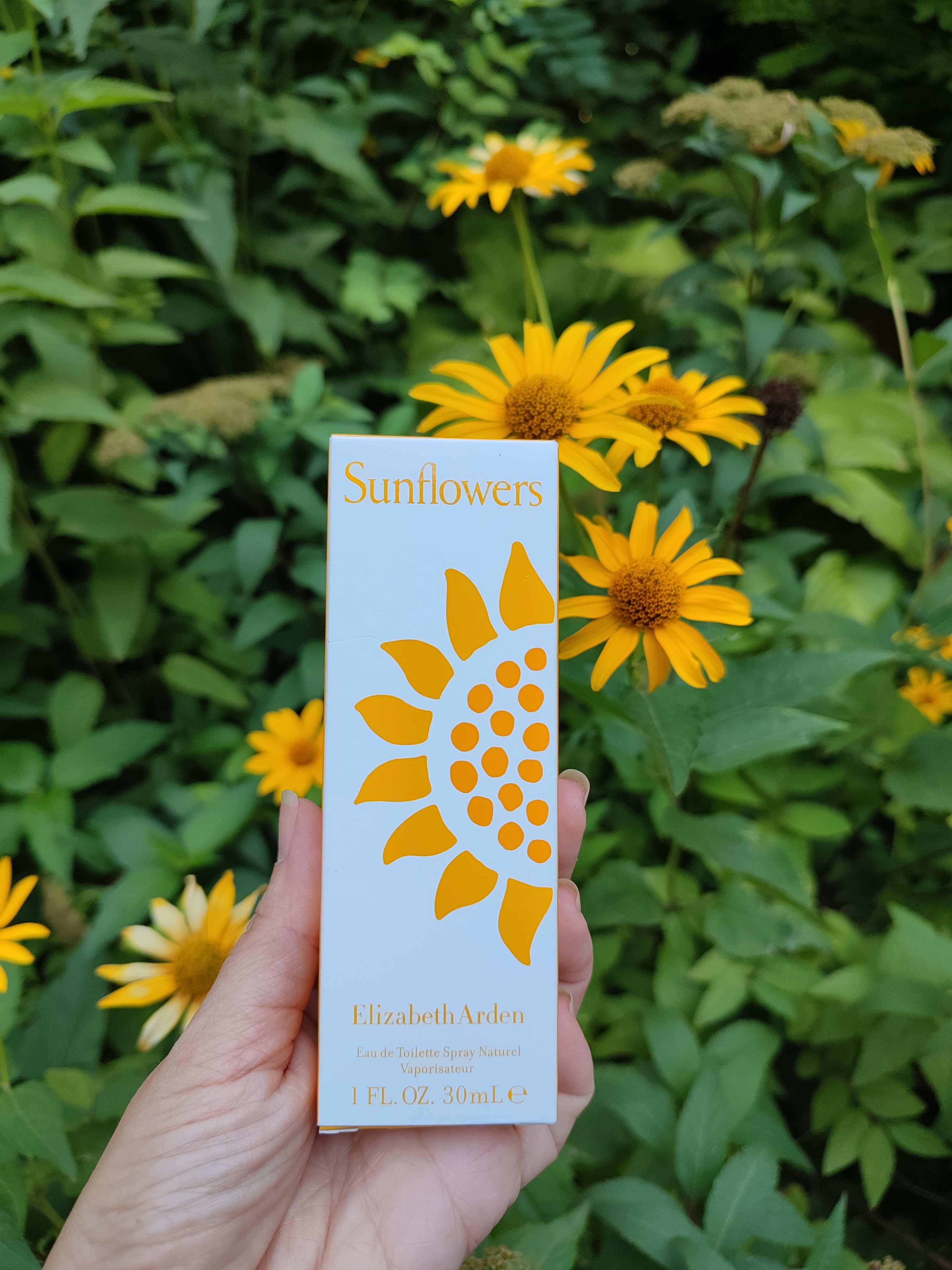 Elizabeth Arden Sunflowers