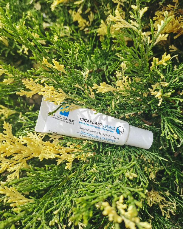 La Roche Cicaplast levers lipbalm