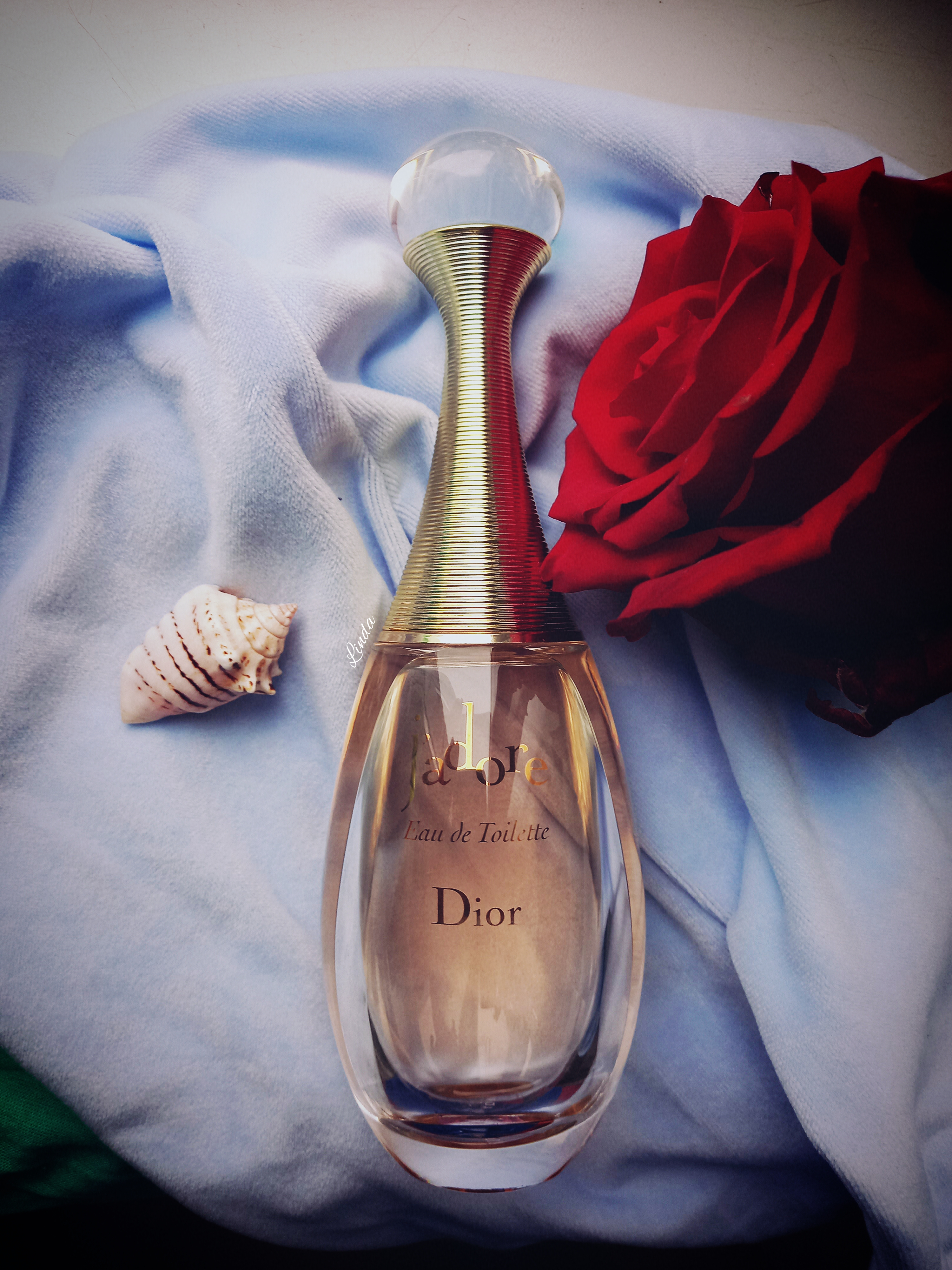 J'adore Dior ♡