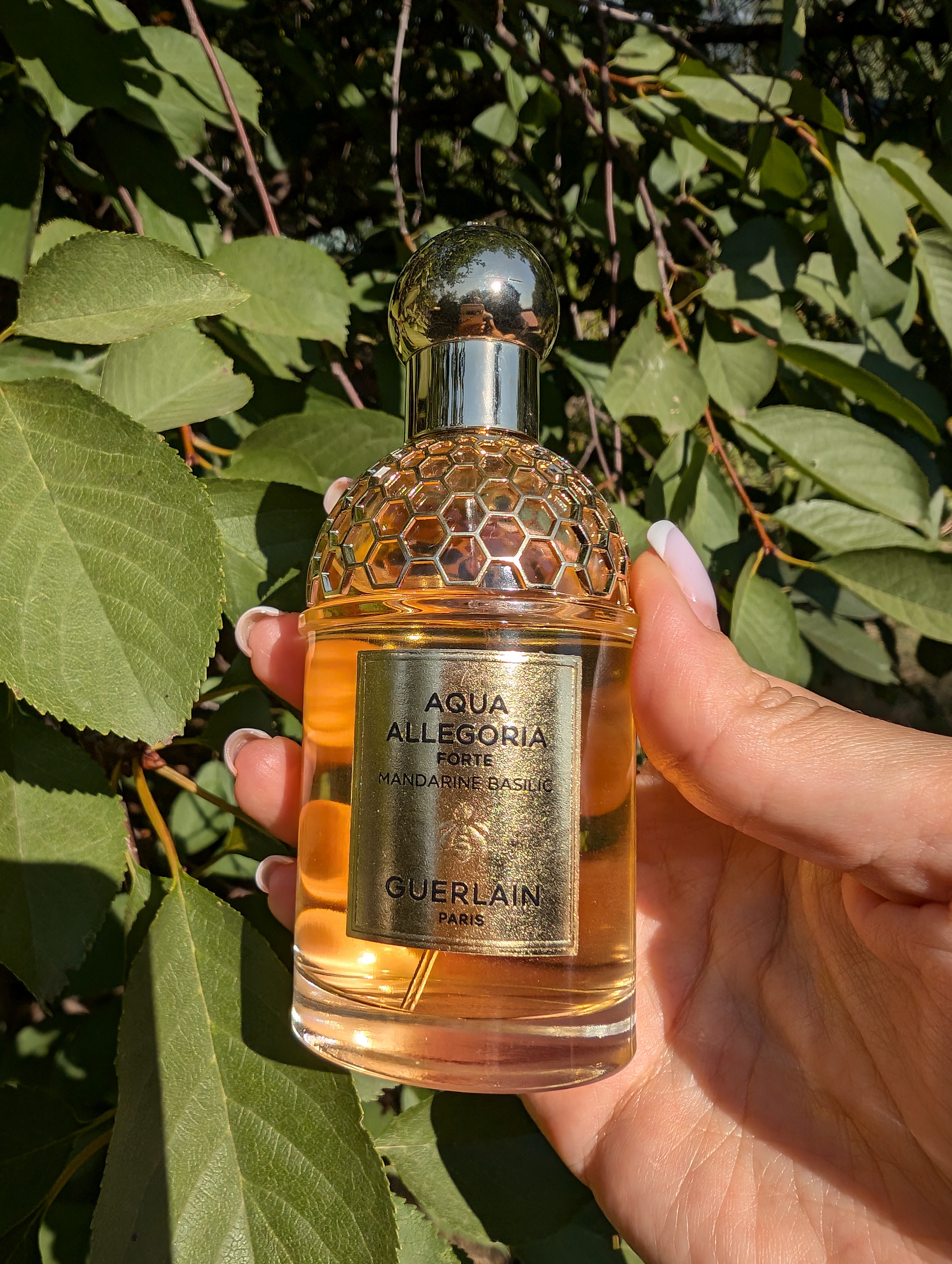 Яскравий аромат від Guerlain Mandarine Basilic Мандаринове задоволення.