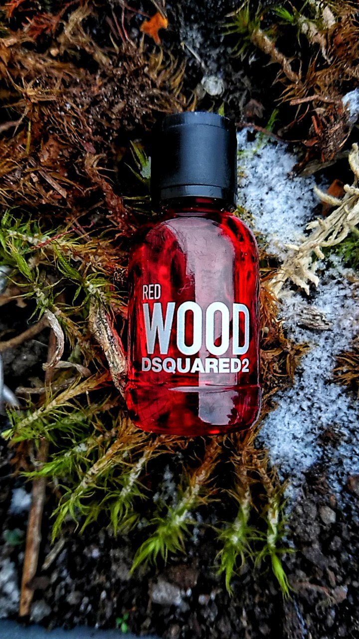 DSQUARED2 RED WOOD