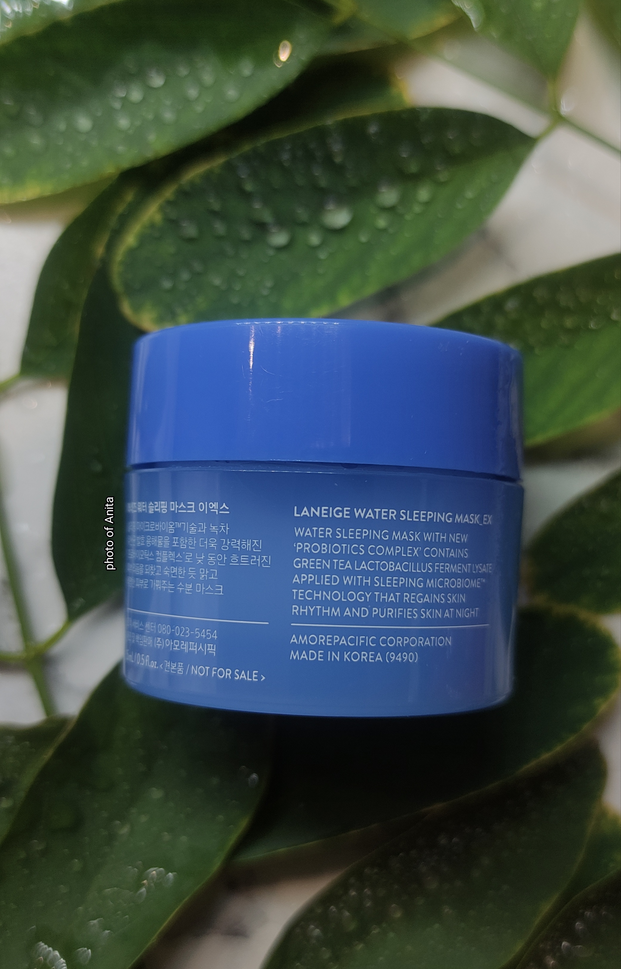 Laneige Water Sleeping Mask