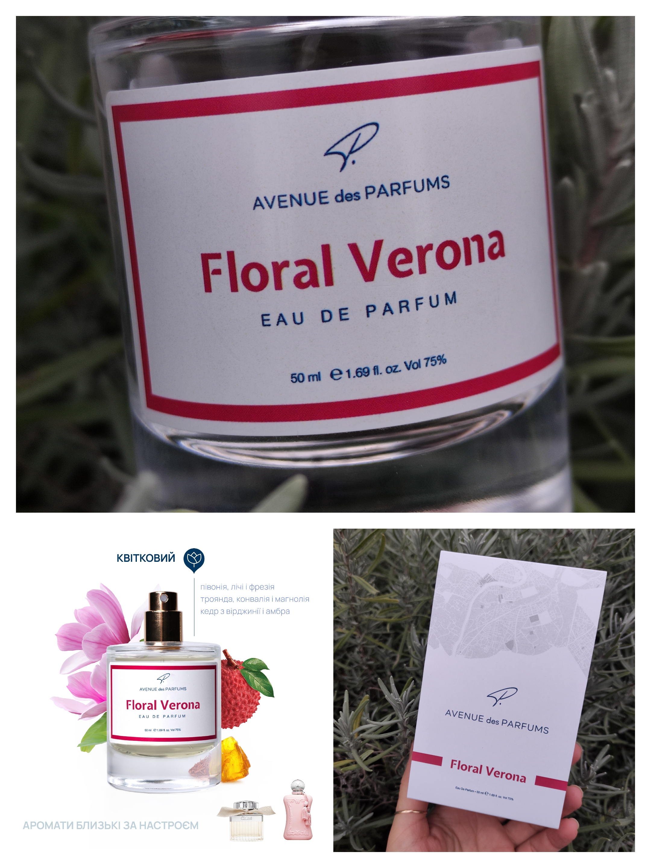 Floral Verona - оксамитова троянда. Аромат серйозний.