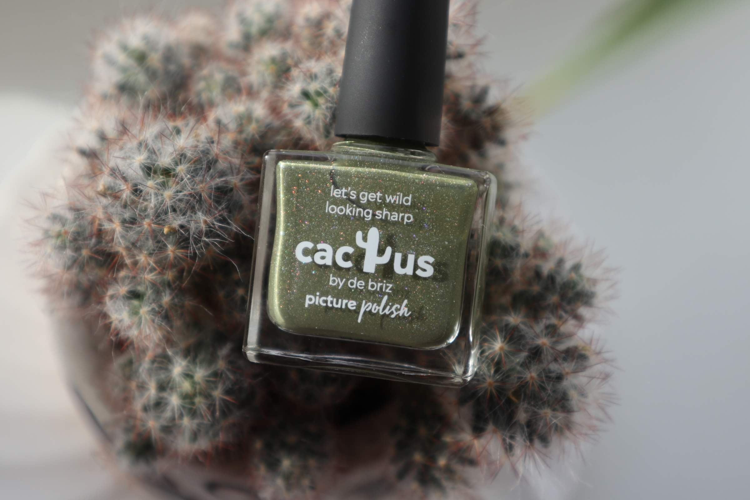 Cactus від Picture Polish: приємна зелень