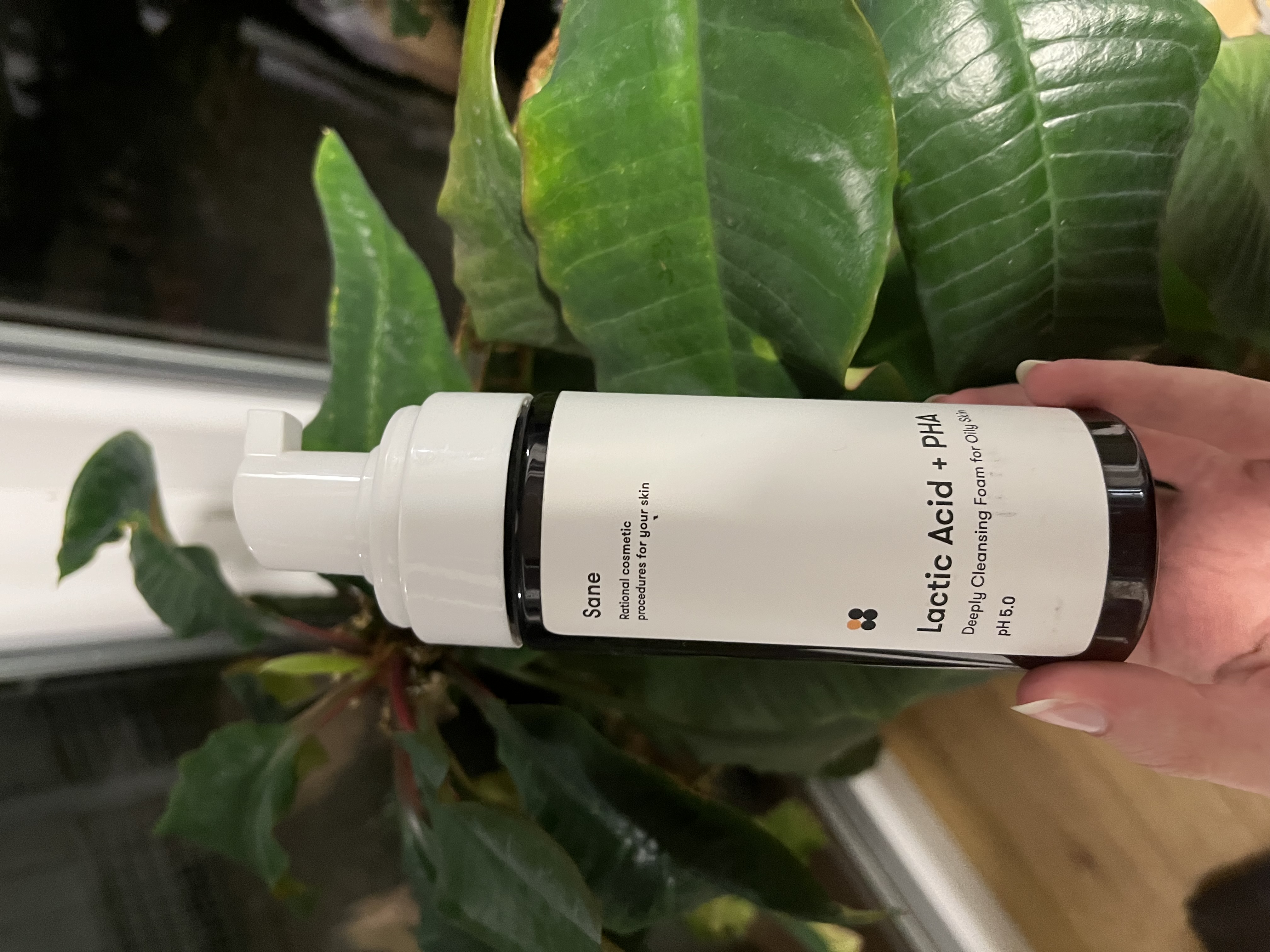 Sane Deeply Cleansing Foam For Oily Skin