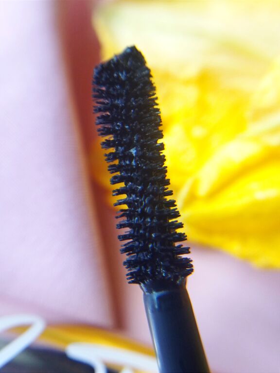 Pierre Rene Lash Fame Mascara