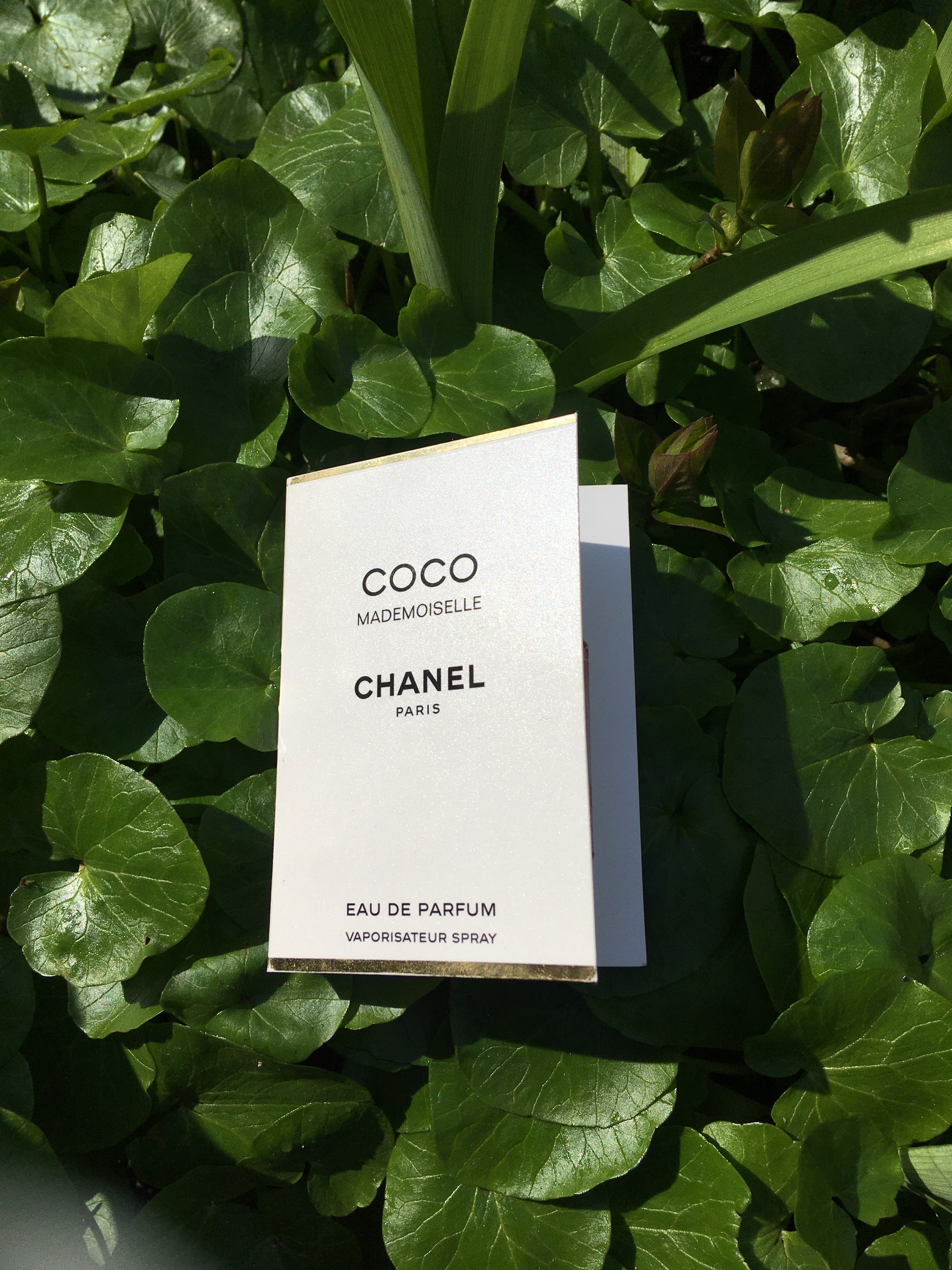 Парфумована вода Chanel Coco Mademoiselle