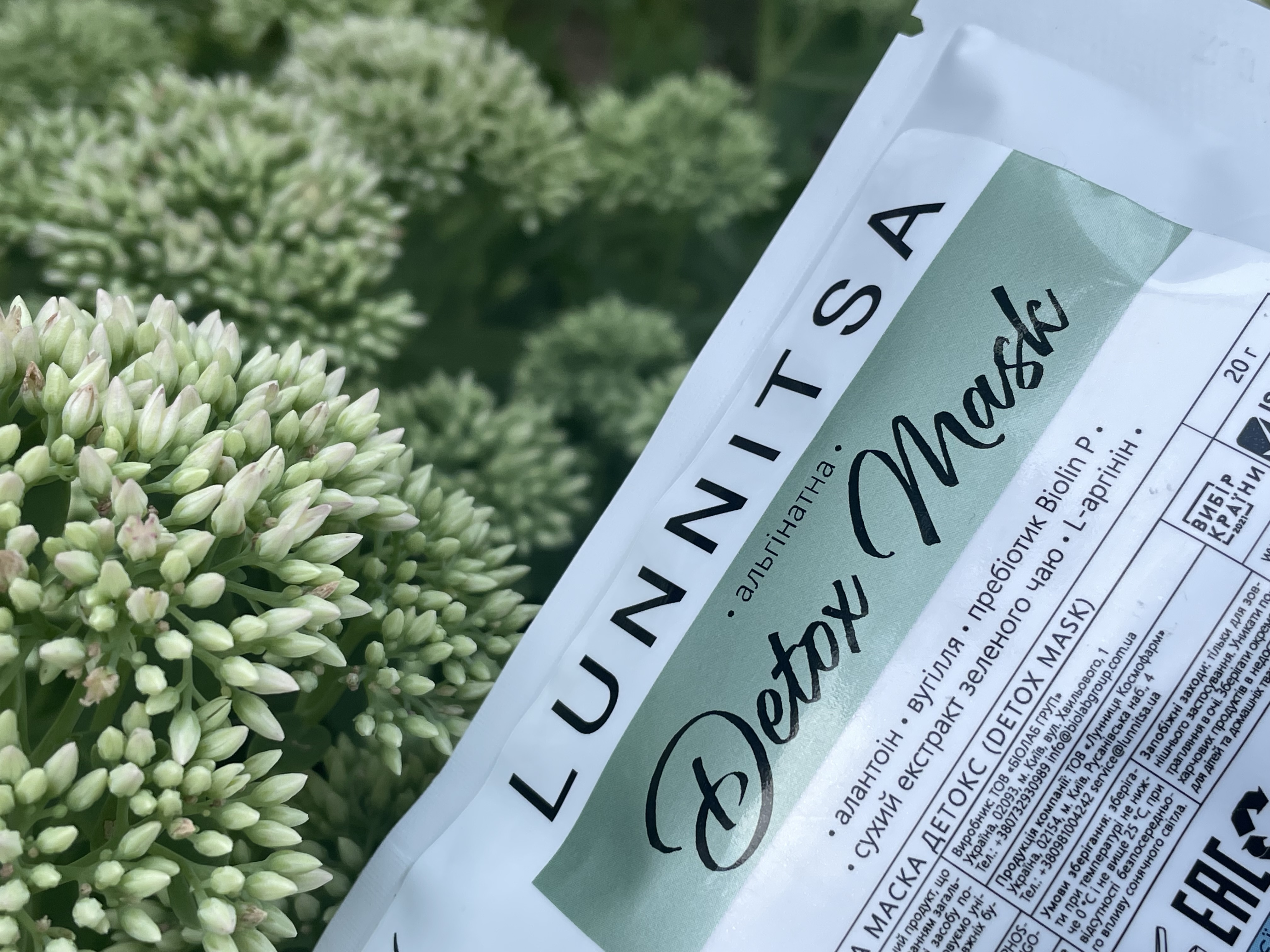 Lunnitsa | Detox Alginate Mask