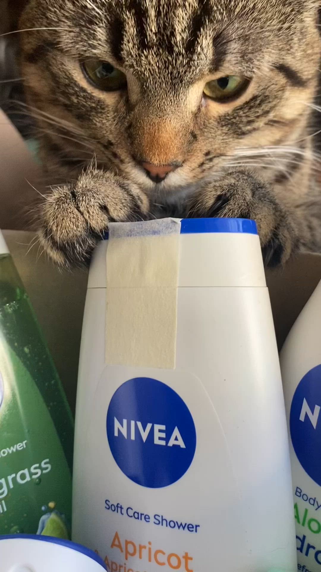 Мій повноцінний догляд за тілом з Nivea