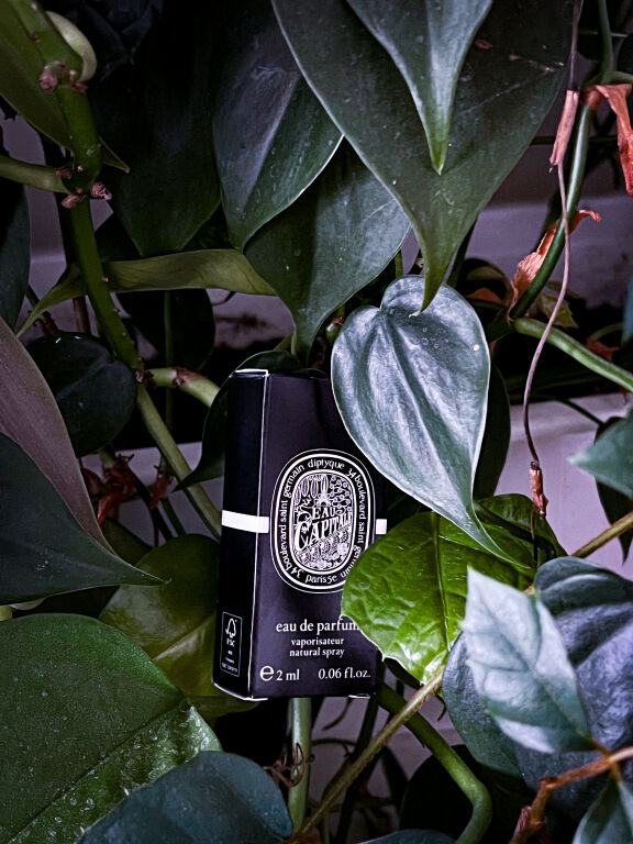 Відгук на парфуми Diptyque Eau Rose: найкращий аромат троянди для справжніх цінителів