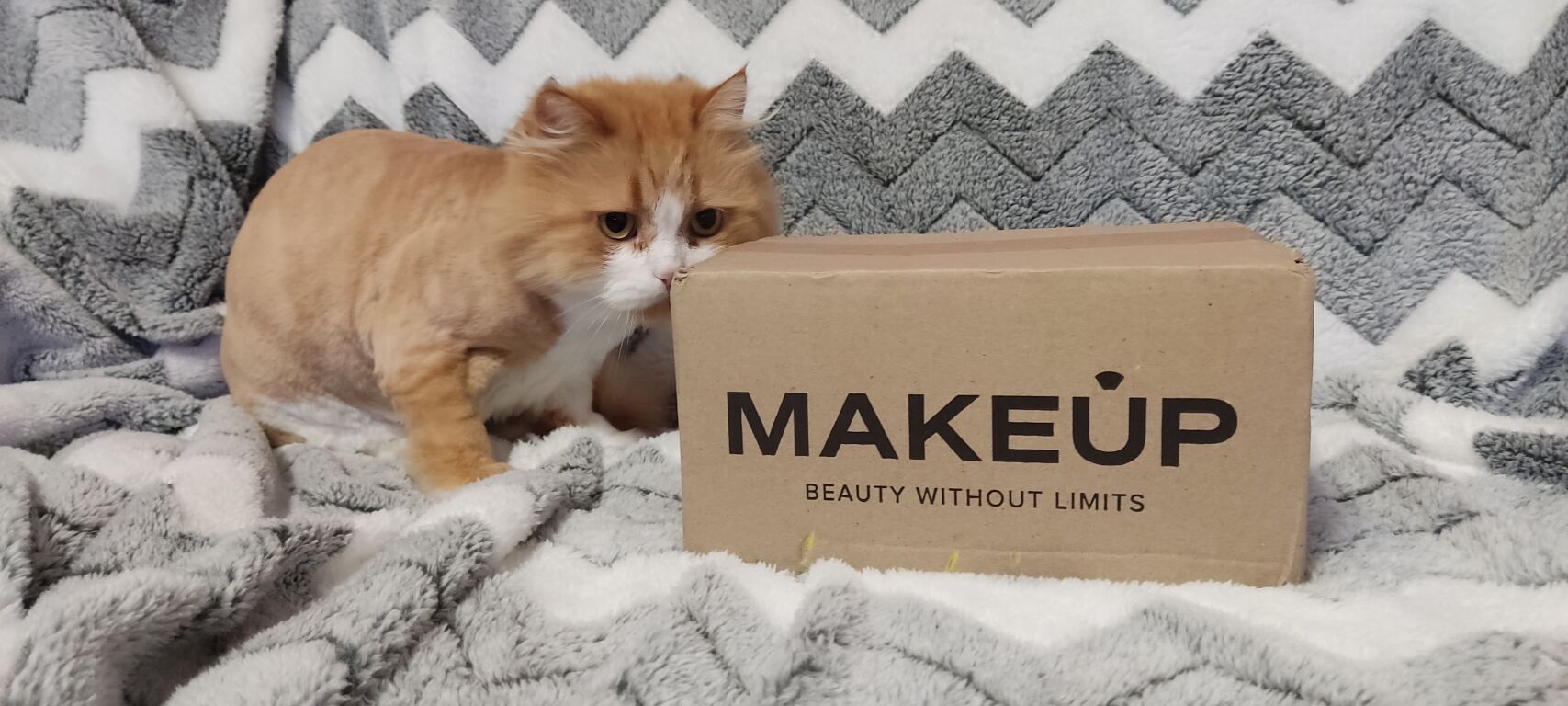 Розпаковувати з котом посилочки від MAKEUP завжди веселіше 😅😅😅
