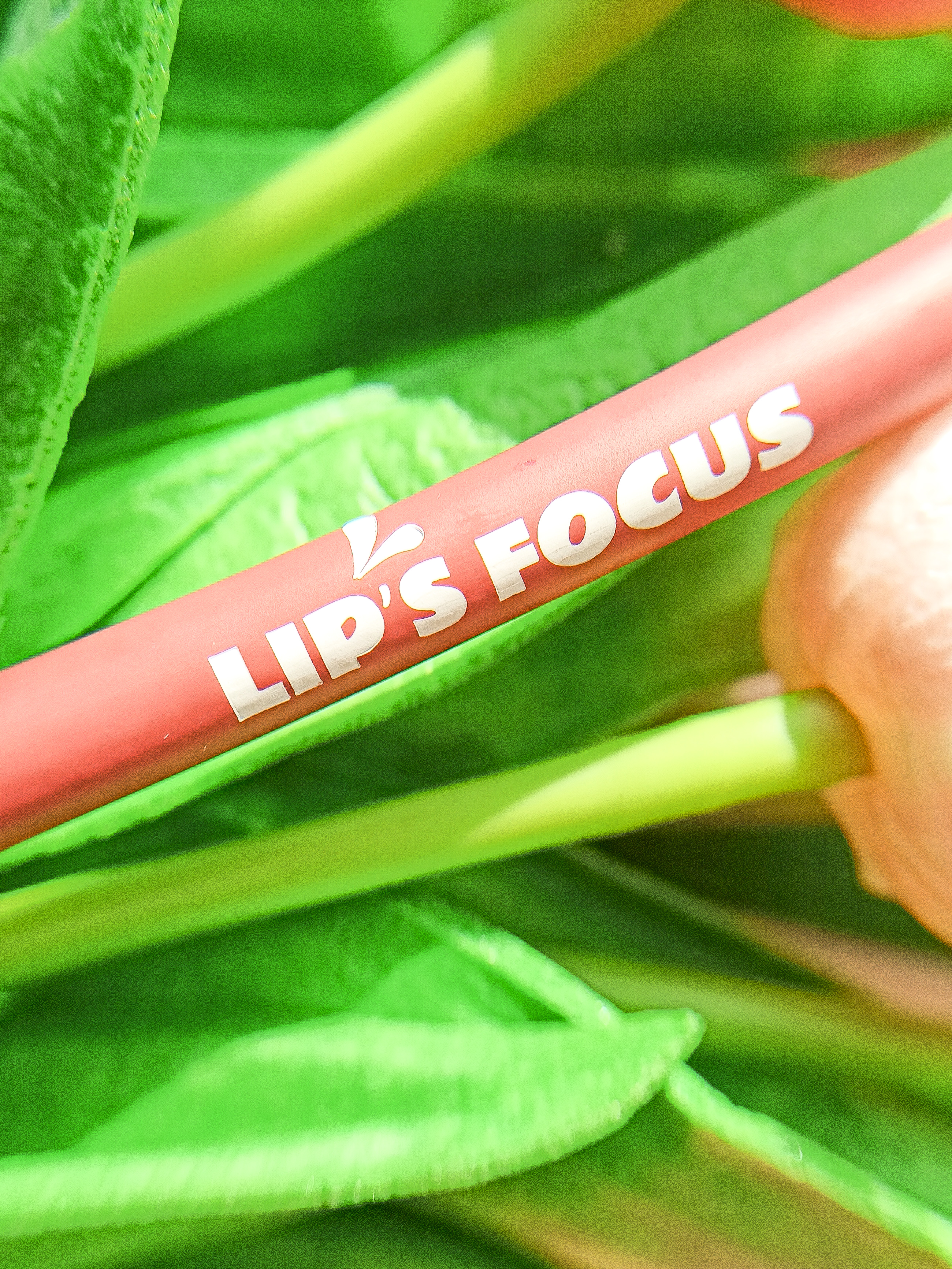 Bless Beauty | Lip's Focus Pencil