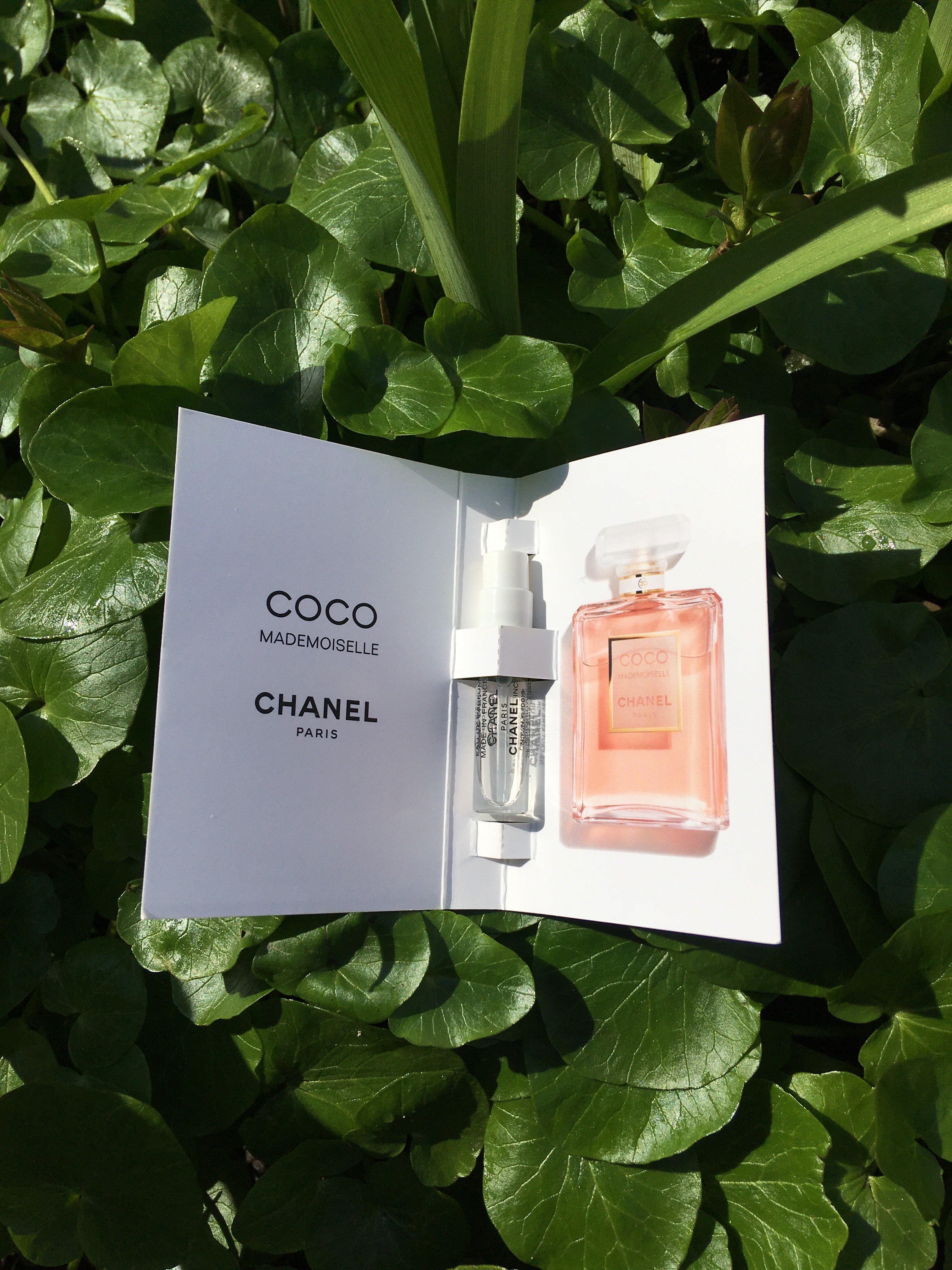 Парфумована вода Chanel Coco Mademoiselle