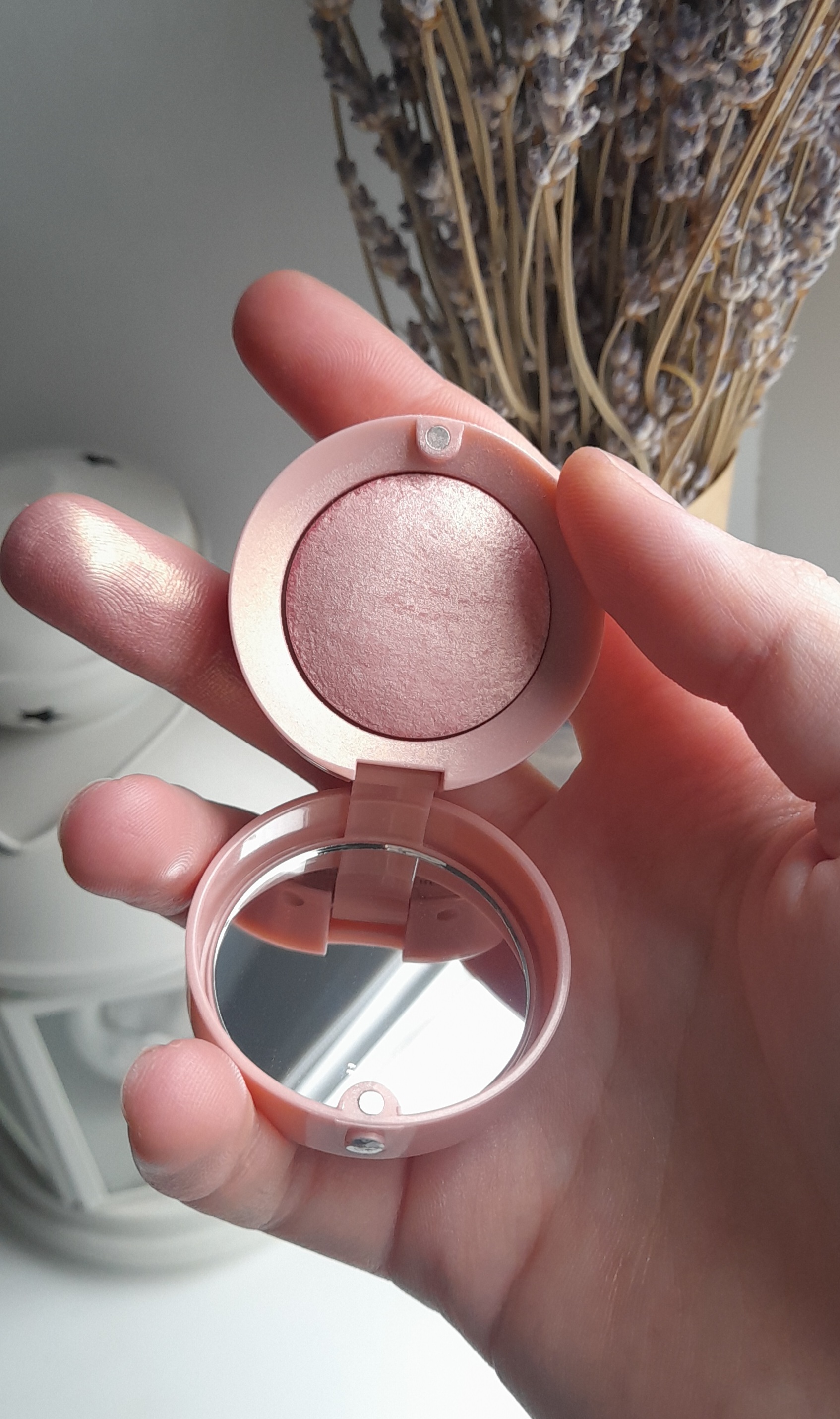 Bourjois Little Round Pot Individual Eyeshadow 11 Pink Parfait