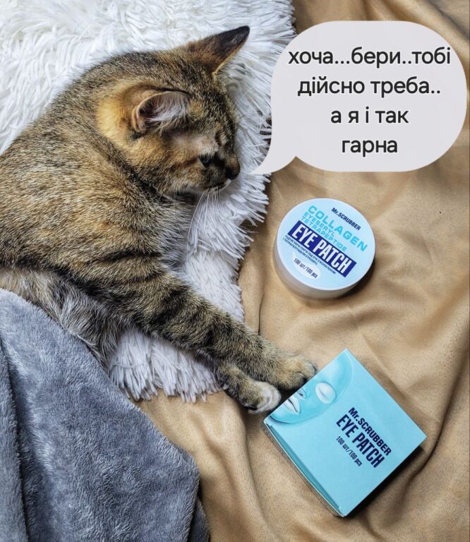 Котик рекомендує патчі!