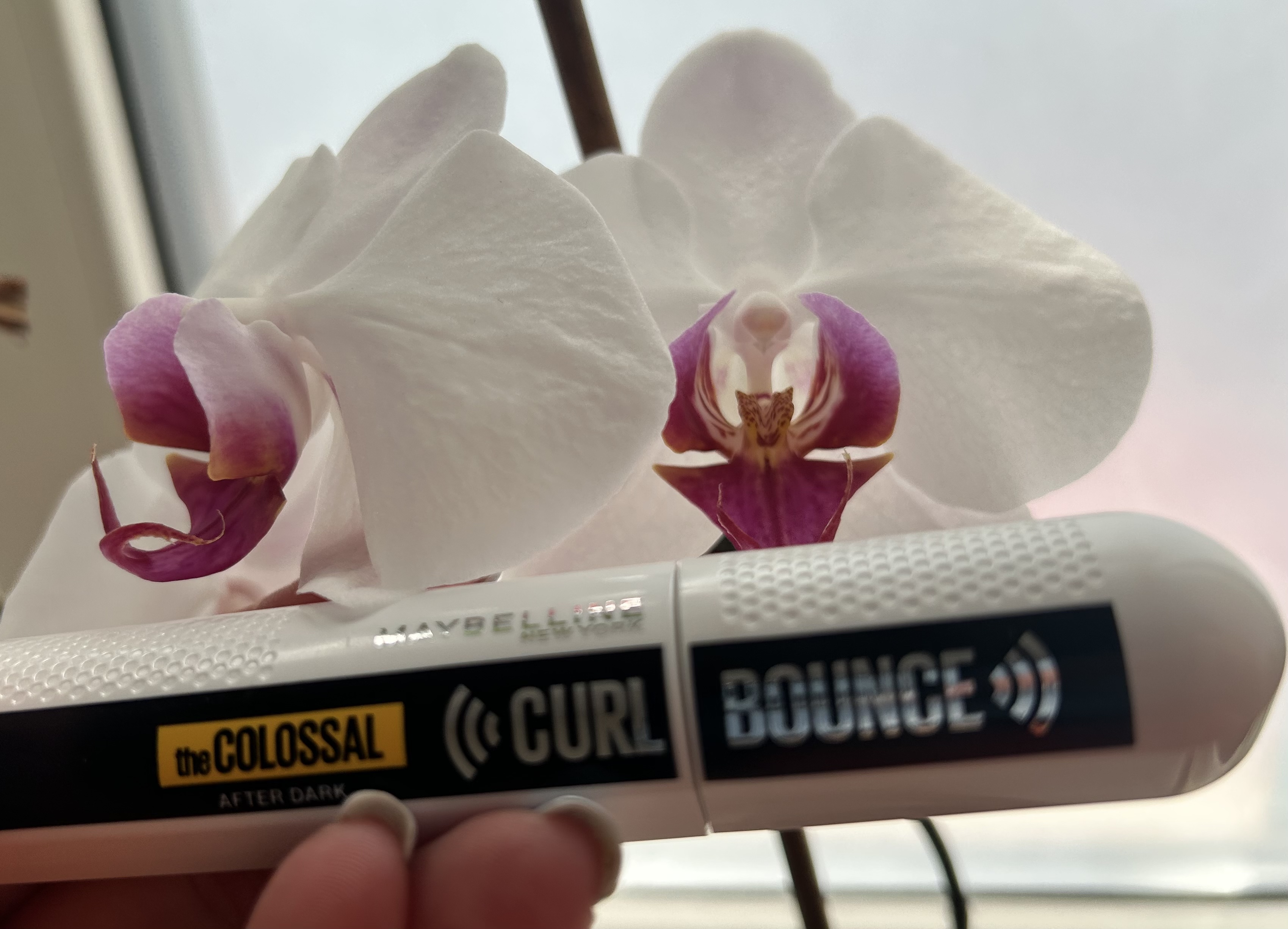 Barbie з Maybelline New York Colossal Curl Bounce
