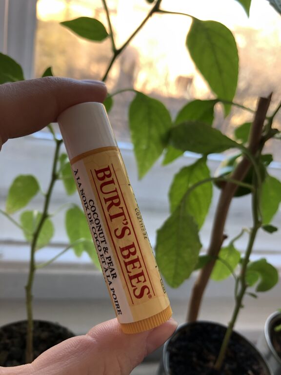 Зволожуючий бальзам для губ Burt’s Bees Coconut & Pear