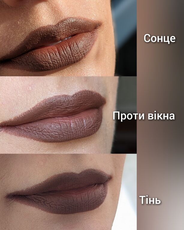 Nyx Teddy lips + свотчі 