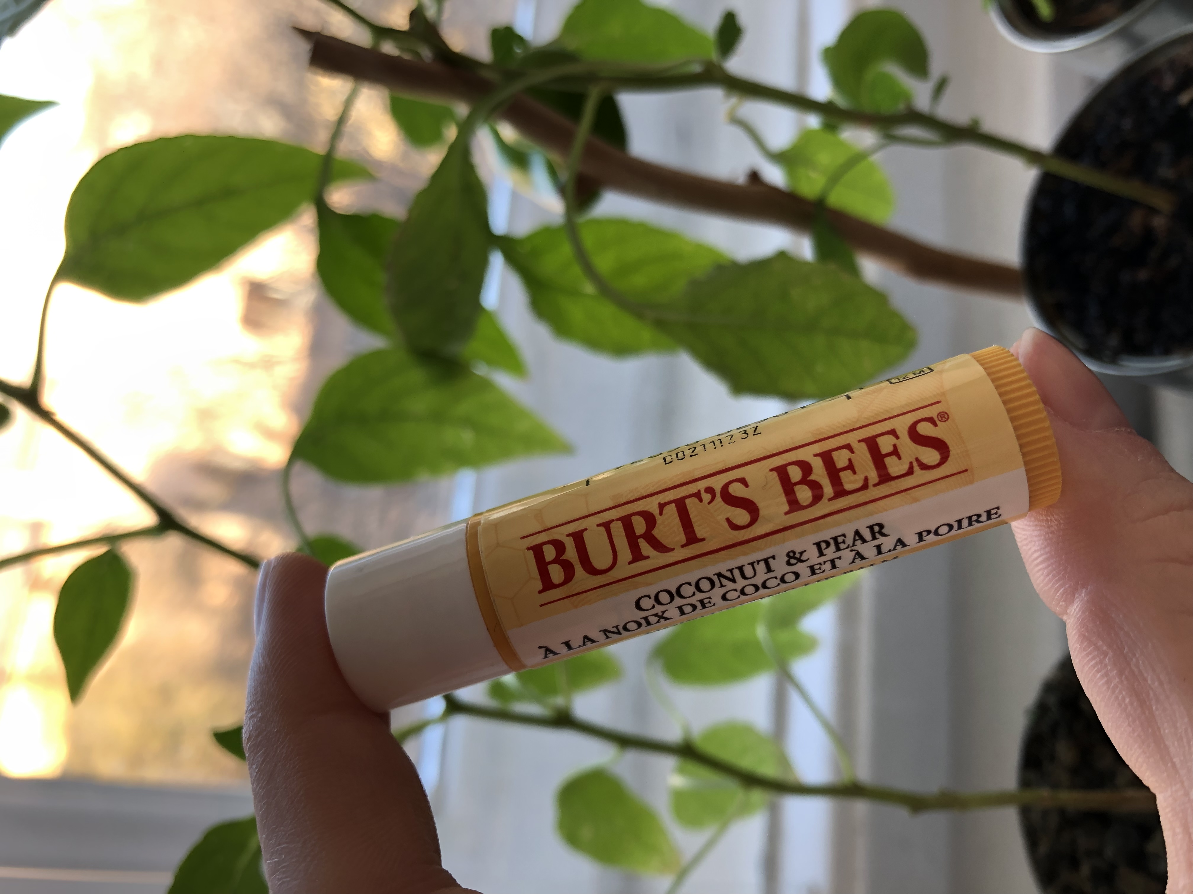 Зволожуючий бальзам для губ Burt’s Bees Coconut & Pear