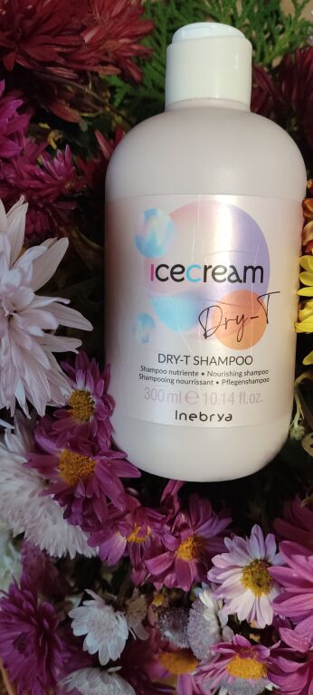 Шампунь для сухого волосся Inebrya Ice Cream Dry-T Shampoo