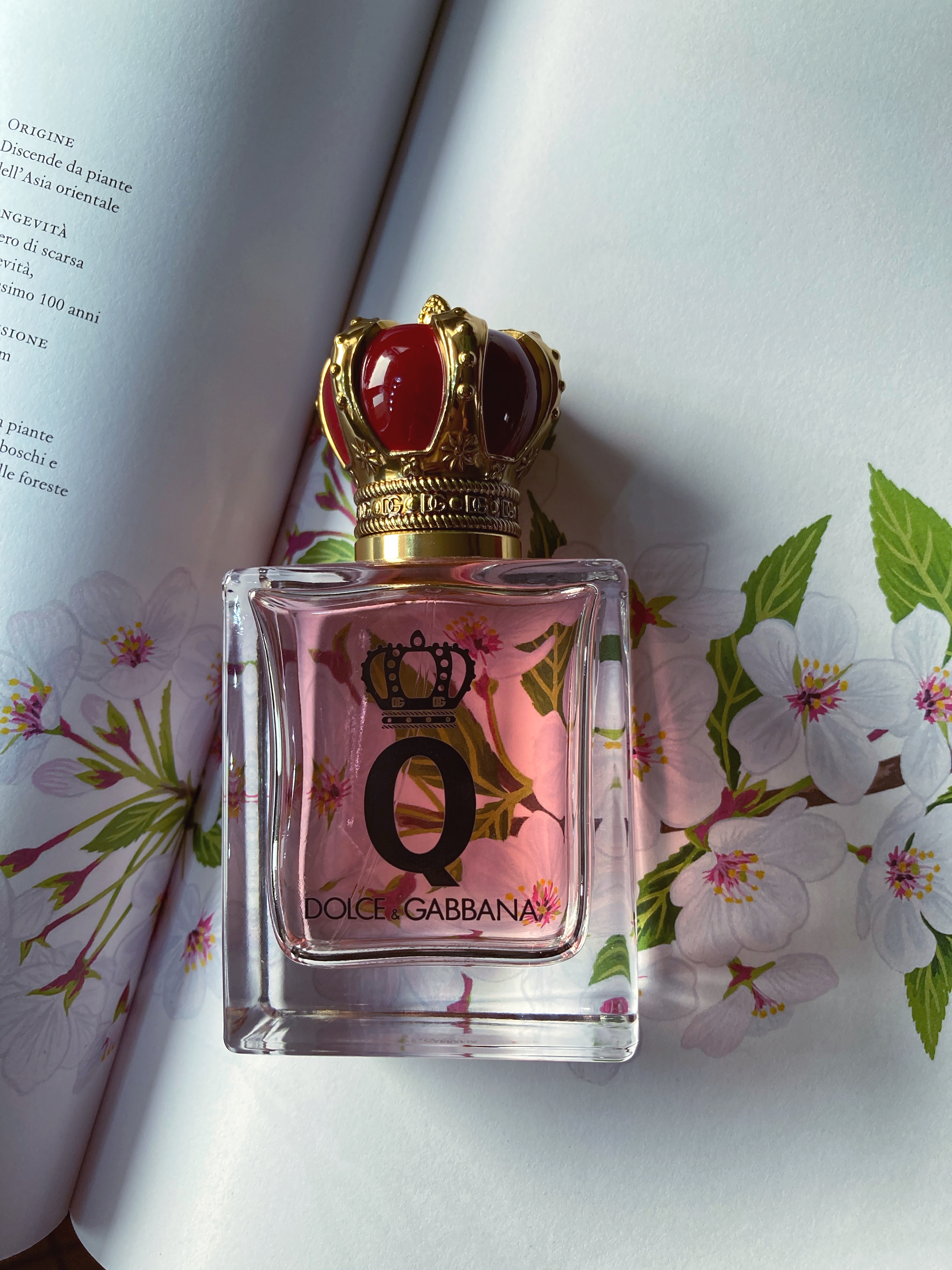 Італійська закоханість з Q by Dolce & Gabbana