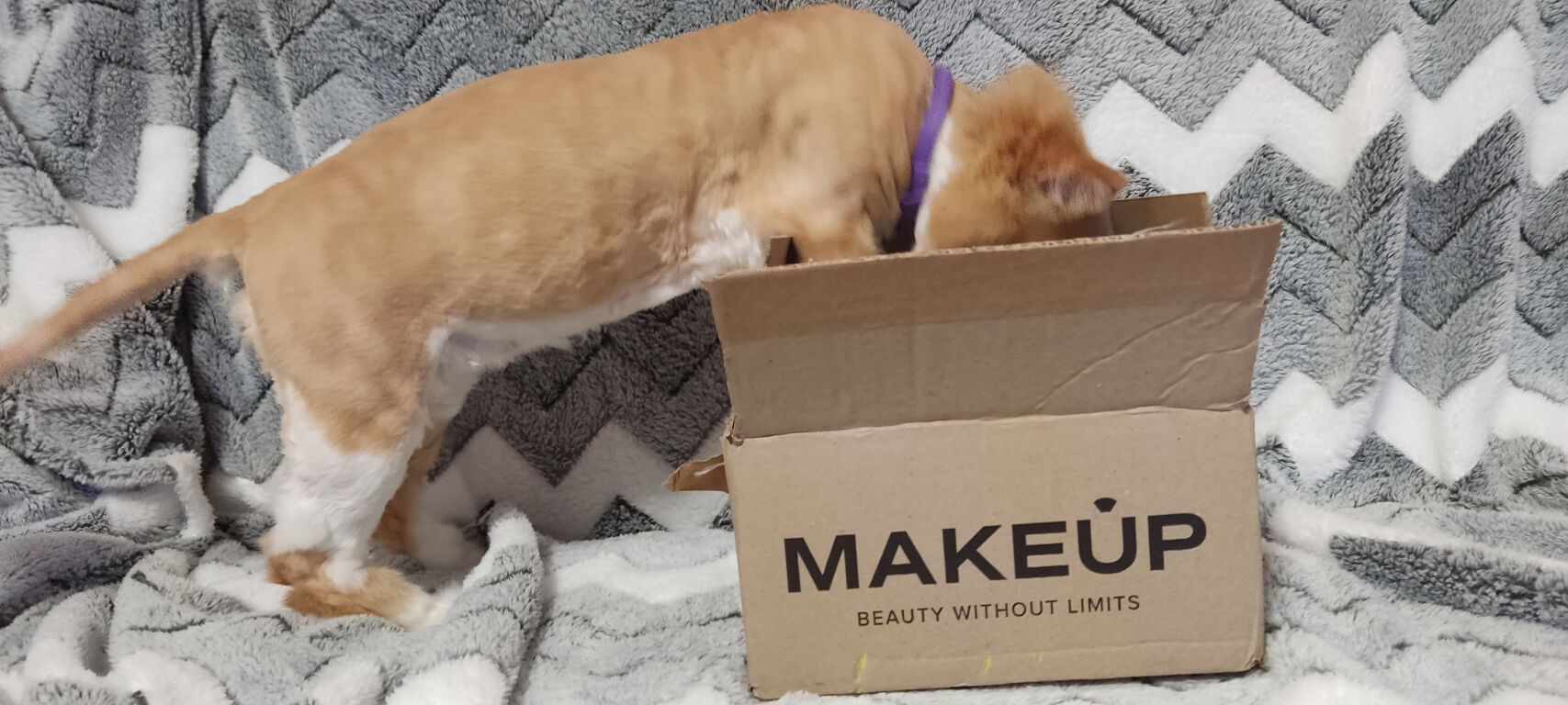 Розпаковувати з котом посилочки від MAKEUP завжди веселіше 😅😅😅