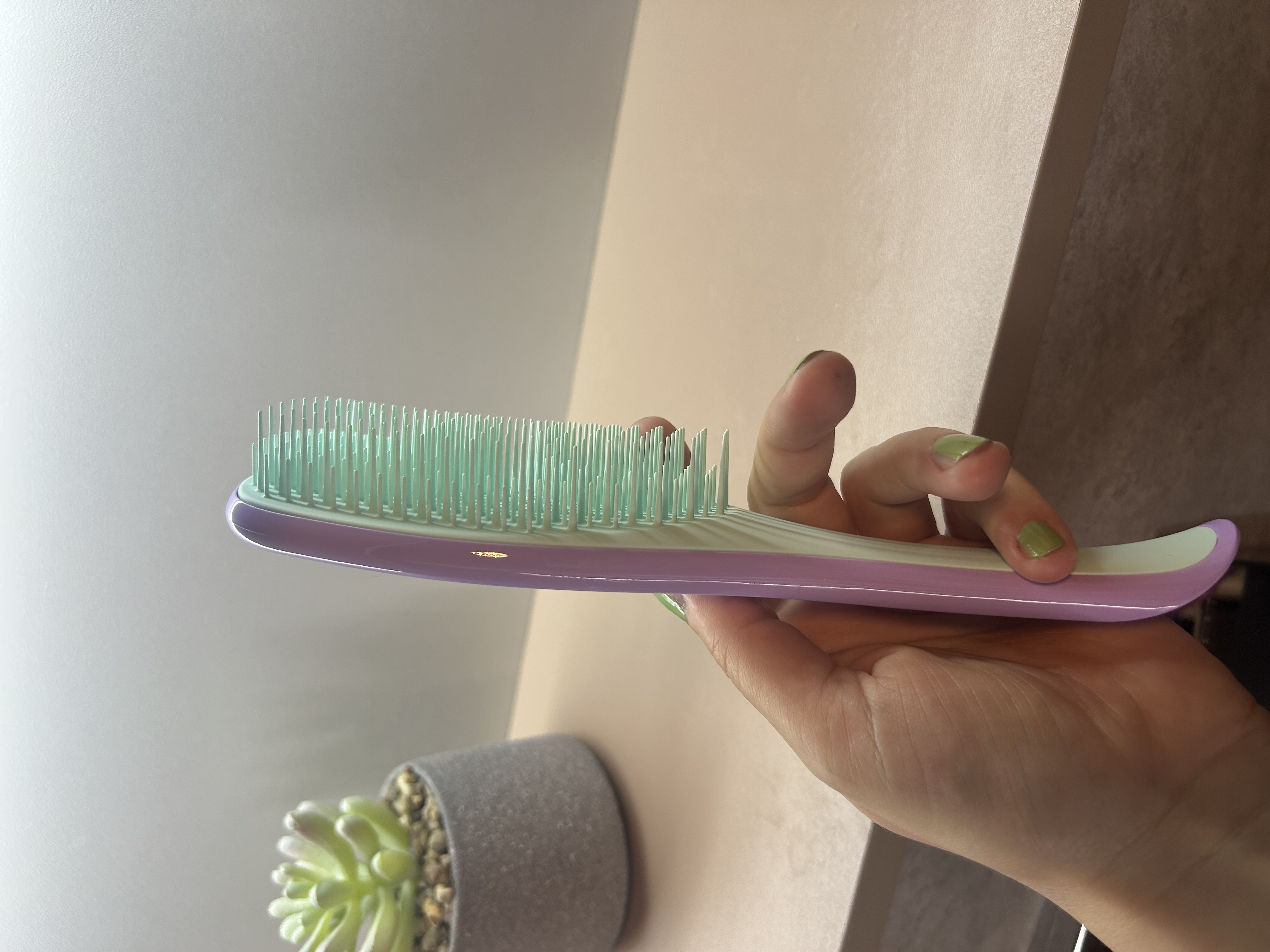 Відома всім Tangle Teezer